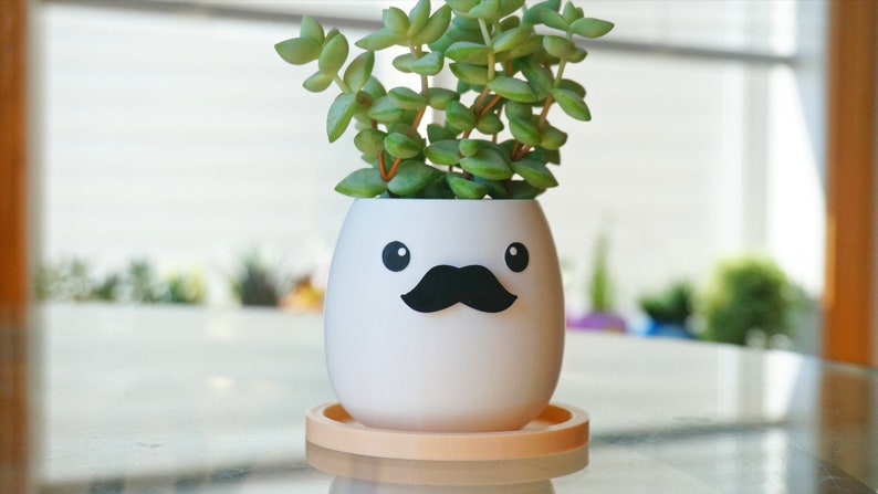 May include: A white ceramic planter shaped like an egg with a black mustache and eyes. The planter has a light orange saucer and is filled with a green succulent plant.