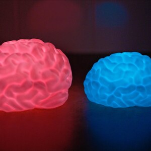 May include: Two brain-shaped decorative lights, one glowing red and the other blue, sit side-by-side. The lights have a textured surface, mimicking the appearance of a human brain. The background is dark, emphasizing the vibrant colors of the lights.