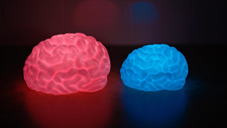 May include: Two brain-shaped decorative lights, one glowing red and the other blue, sit side-by-side. The lights have a textured surface, mimicking the appearance of a human brain. The background is dark, emphasizing the vibrant colors of the lights.