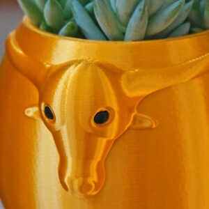 Puede incluir: Una maceta de cer&aacute;mica de color dorado con forma de cabeza de toro con una planta suculenta creciendo en su interior.