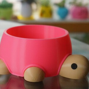 May include: A pink turtle-shaped planter with brown legs and a black eye. The planter is made of plastic and is designed to hold small plants.