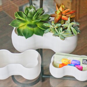 May include: Three white ceramic planters shaped like a bone, with two smaller planters and one larger planter. The larger planter has three succulents planted in it, including a green succulent, a red succulent, and a green and white succulent.