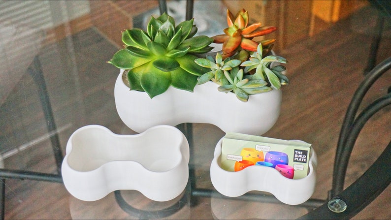 May include: Three white ceramic planters shaped like a bone, with two smaller planters and one larger planter. The larger planter has three succulents planted in it, including a green succulent, a red succulent, and a green and white succulent.