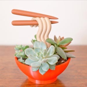 小物 SRL.NOODLE BOWL PLANT POT 231 AINH-AC03 SRL . NOODLE BOWL PLANT POT SRL . SMALL BOWL PLANT POT