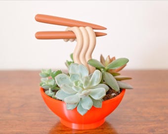 Japanese Ramen Bowl Planter | Floating Noodles and Topping