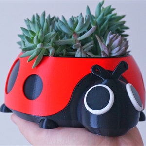 Puede incluir: Una maceta con forma de mariquita en rojo y negro, llena de suculentas verdes. La maceta tiene grandes lunares negros redondos y ojos con borde blanco. El dise&ntilde;o es caprichoso y decorativo, adecuado para uso en interiores o exteriores.