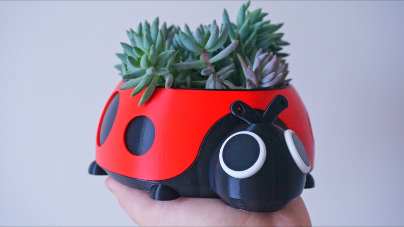 Puede incluir: Una maceta con forma de mariquita en rojo y negro, llena de suculentas verdes. La maceta tiene grandes lunares negros redondos y ojos con borde blanco. El dise&ntilde;o es caprichoso y decorativo, adecuado para uso en interiores o exteriores.