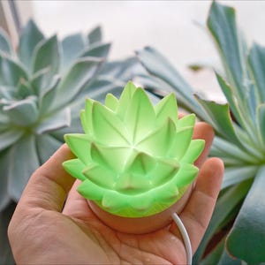K&ouml;nnte beinhalten: Eine gr&uuml;ne, sukkulentenf&ouml;rmige LED-Lampe wird in einer Hand gehalten, mit einem wei&szlig;en Kabel, das sich von der Basis erstreckt. Die Lampe leuchtet und wirft ein sanftes Licht. Gro&szlig;e, gr&uuml;ne Sukkulenten sind im Hintergrund und schaffen ein nat&uuml;rliches Thema.