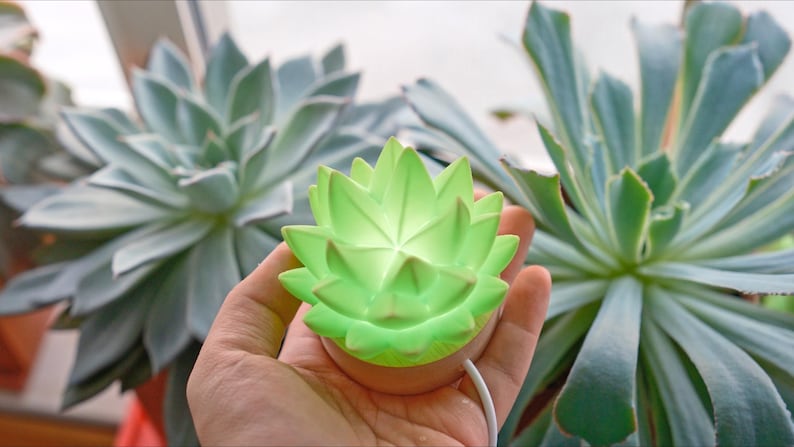 K&ouml;nnte beinhalten: Eine gr&uuml;ne, sukkulentenf&ouml;rmige LED-Lampe wird in einer Hand gehalten, mit einem wei&szlig;en Kabel, das sich von der Basis erstreckt. Die Lampe leuchtet und wirft ein sanftes Licht. Gro&szlig;e, gr&uuml;ne Sukkulenten sind im Hintergrund und schaffen ein nat&uuml;rliches Thema.