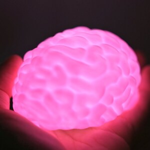 Brain LED Night Light: 3D Printed Novelty Gift, Science Decor image 4