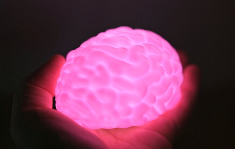 Brain LED Night Light: 3D Printed Novelty Gift, Science Decor image 4
