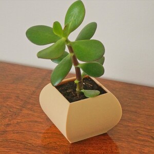 May include: A small jade plant in a beige, geometric planter. The plant has vibrant green, oval-shaped leaves and a thick, brown stem. The planter sits on a dark wooden surface, with a white wall in the background. The overall aesthetic is minimalist and modern.