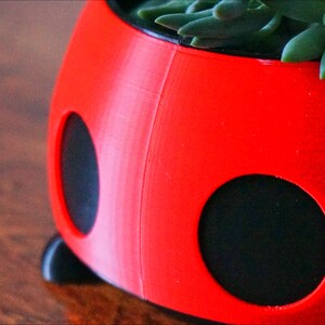 Puede incluir: Una maceta roja con forma de mariquita con lunares y patas negras, que contiene suculentas verdes. La maceta est&aacute; hecha de un material liso y est&aacute; dise&ntilde;ada para contener plantas peque&ntilde;as. Un art&iacute;culo decorativo para el hogar o el jard&iacute;n.