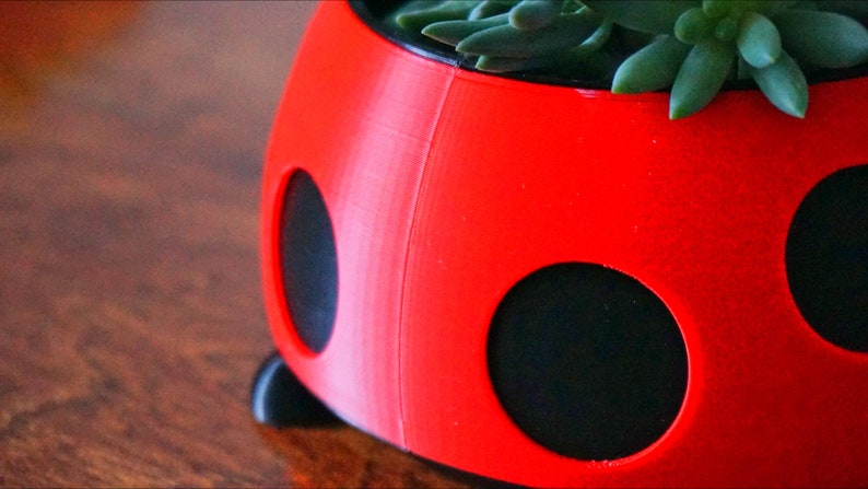 Puede incluir: Una maceta roja con forma de mariquita con lunares y patas negras, que contiene suculentas verdes. La maceta est&aacute; hecha de un material liso y est&aacute; dise&ntilde;ada para contener plantas peque&ntilde;as. Un art&iacute;culo decorativo para el hogar o el jard&iacute;n.