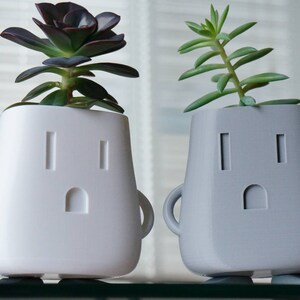Op de afbeelding: Twee witte en grijze keramische potten in de vorm van een stopcontact met een gezicht. De potten hebben kleine armen en benen. De witte pot heeft een succulent met donkergroene bladeren. De grijze pot heeft een succulent met lichtgroene bladeren.