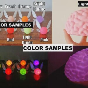 May include: A collection of colorful LED fairy lights and a light pink brain-shaped lamp. The fairy lights come in various colors, including white, blue, red, and green. The image also includes the text "COLOR SAMPLES".