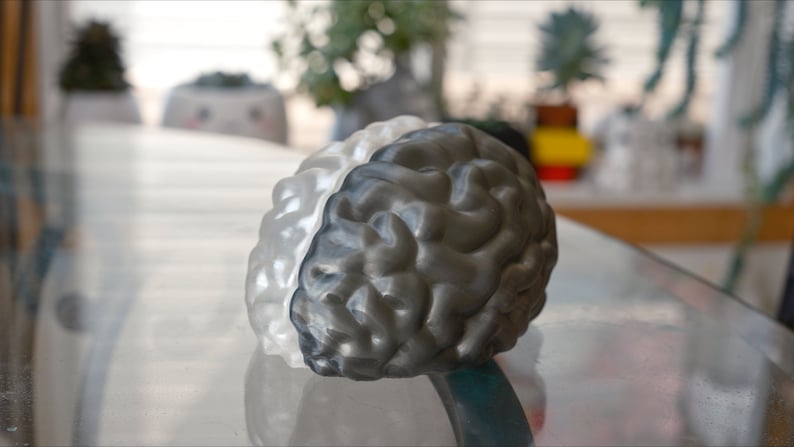 May include: A 3D printed model of a human brain, painted half white and half gray.