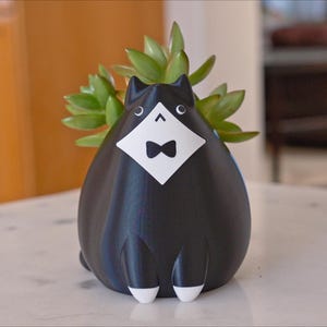 May include: A black cat-shaped planter with a white bib and bow tie, holding a green succulent plant. The planter has white feet and is sitting on a white surface. The cat planter is a unique decorative item.