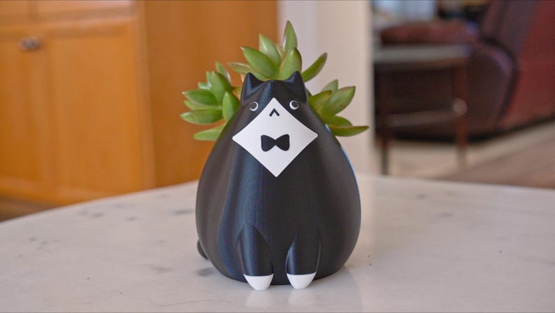 May include: A black cat-shaped planter with a white bib and bow tie, holding a green succulent plant. The planter has white feet and is sitting on a white surface. The cat planter is a unique decorative item.