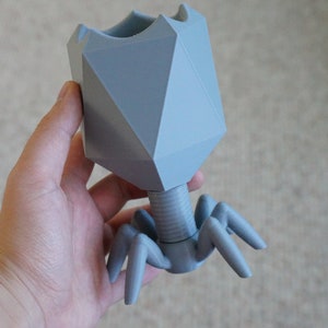 May include: A gray 3D printed model of a bacteriophage, a type of virus that infects bacteria. The model has a geometric head and a long tail with six legs.