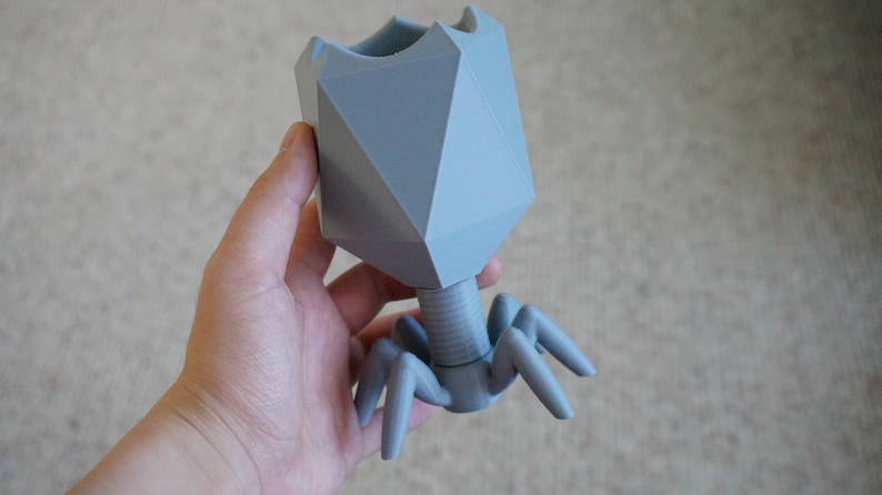 May include: A gray 3D printed model of a bacteriophage, a type of virus that infects bacteria. The model has a geometric head and a long tail with six legs.