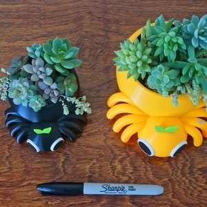 May include: Two succulent planters, one black and one yellow, shaped like stylized insects, each filled with various green succulents. The planters have white and green accents. A black Sharpie marker is at the bottom.
