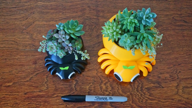 May include: Two succulent planters, one black and one yellow, shaped like stylized insects, each filled with various green succulents. The planters have white and green accents. A black Sharpie marker is at the bottom.