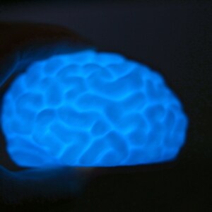 Brain LED Night Light: 3D Printed Novelty Gift, Science Decor image 7