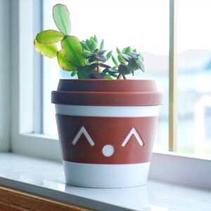 May include: A white and brown ceramic planter with a cute face design, featuring a succulent plant with green leaves.