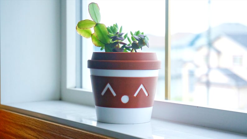 May include: A white and brown ceramic planter with a cute face design, featuring a succulent plant with green leaves.