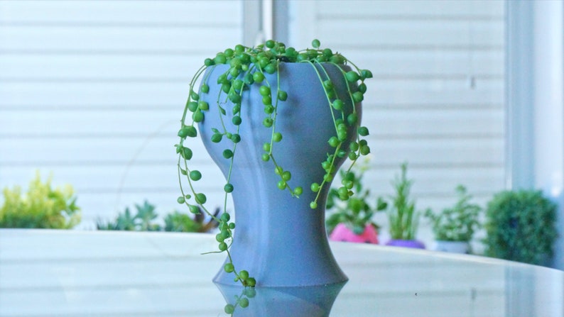 May include: A light blue ceramic planter with a unique shape, featuring a trailing string of pearls plant with green leaves.