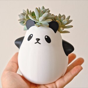 Op de afbeelding: Een witte keramische panda plantenpot met zwarte oren en ogen, met een kleine groene succulent plant.
