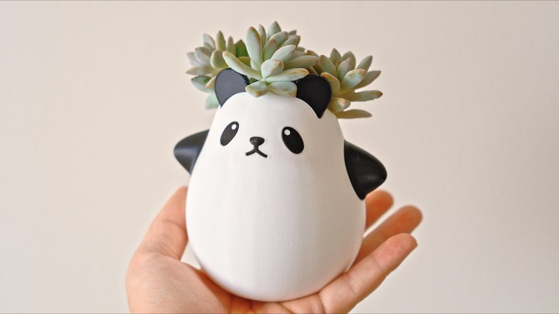 Op de afbeelding: Een witte keramische panda plantenpot met zwarte oren en ogen, met een kleine groene succulent plant.