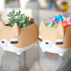 May include: Two brown ceramic planters shaped like dogs, one with a succulent plant and the other with colorful star-shaped decorations.