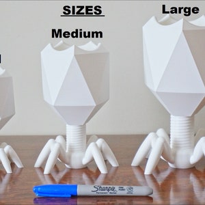 May include: Three white, geometric, bacteriophage-shaped, decorative objects in different sizes, labeled "Small", "Medium", and "Large". A blue marker is placed below the objects for scale.
