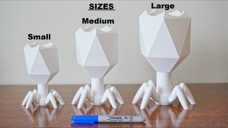 May include: Three white, geometric, bacteriophage-shaped, decorative objects in different sizes, labeled "Small", "Medium", and "Large". A blue marker is placed below the objects for scale.