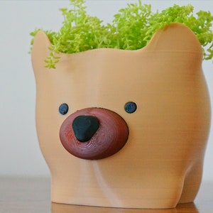 Puede incluir: Una maceta de cer&aacute;mica marr&oacute;n claro con forma de cabeza de oso con nariz marr&oacute;n y ojos negros. La maceta est&aacute; llena de plantas verdes de hoja.