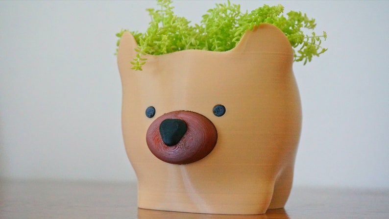 Puede incluir: Una maceta de cer&aacute;mica marr&oacute;n claro con forma de cabeza de oso con nariz marr&oacute;n y ojos negros. La maceta est&aacute; llena de plantas verdes de hoja.