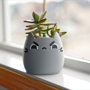 May include: A gray ceramic cat planter with a grumpy expression, holding a small green succulent plant. The planter is sitting on a white windowsill.
