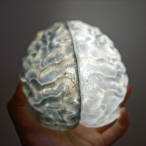 May include: A 3D printed model of a human brain, split in half, with one side painted a light gray and the other side a darker gray.