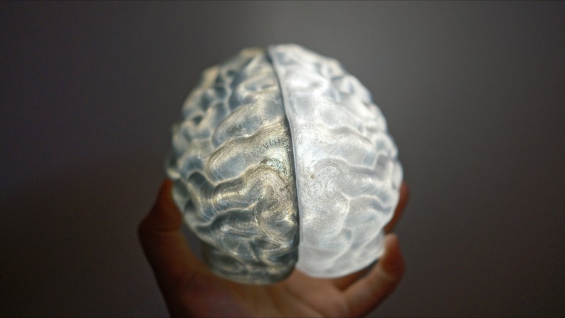May include: A 3D printed model of a human brain, split in half, with one side painted a light gray and the other side a darker gray.