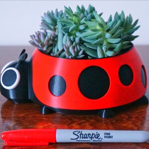 Puede incluir: Una maceta con forma de mariquita roja y negra llena de suculentas verdes. Un rotulador Sharpie rojo est&aacute; en primer plano. La maceta tiene lunares negros y una cabeza negra con ojos ribeteados en blanco.