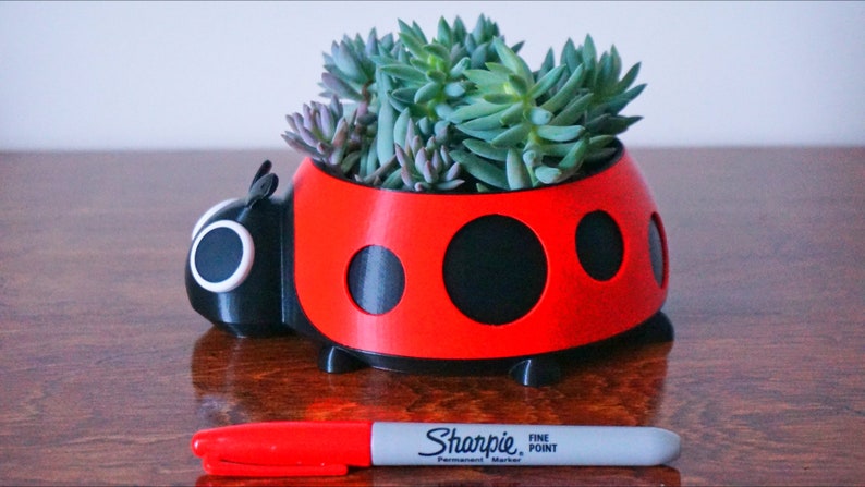 Puede incluir: Una maceta con forma de mariquita roja y negra llena de suculentas verdes. Un rotulador Sharpie rojo est&aacute; en primer plano. La maceta tiene lunares negros y una cabeza negra con ojos ribeteados en blanco.