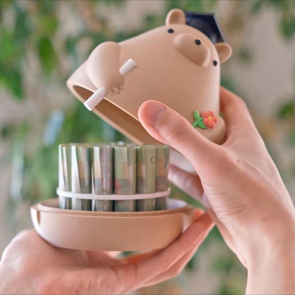 Regalo di laurea con orsetto e capsula di denaro, regalo di laurea universitaria, scatola di congratulazioni con ovetto Kinder, ricordo di classe, diplomato delle scuole superiori