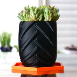 May include: A black planter shaped like a tire with a green succulent plant growing inside. The planter is sitting on a bright orange hexagonal saucer.