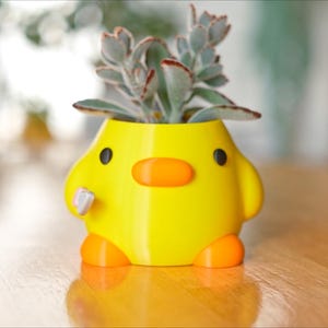 May include: A yellow, duck-shaped planter with orange beak, feet, and accents, holding a succulent plant with green and red-tinged leaves. The planter has black eyes and a small, white, rectangular detail on its side. The planter is on a wooden surface.