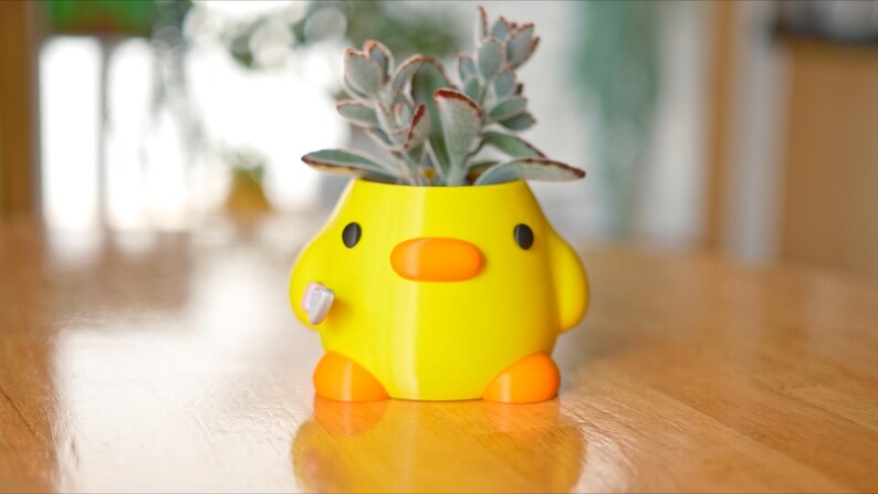 May include: A yellow, duck-shaped planter with orange beak, feet, and accents, holding a succulent plant with green and red-tinged leaves. The planter has black eyes and a small, white, rectangular detail on its side. The planter is on a wooden surface.