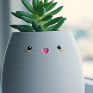 May include: A white ceramic planter with a happy face painted on it. The planter has a small succulent plant growing inside.