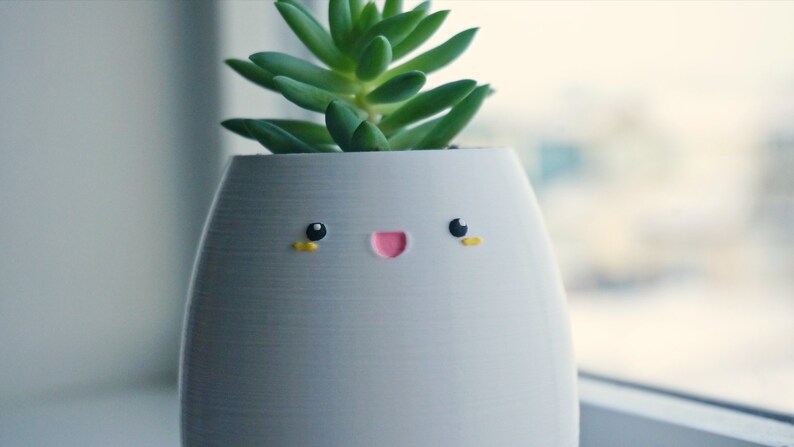 May include: A white ceramic planter with a happy face painted on it. The planter has a small succulent plant growing inside.