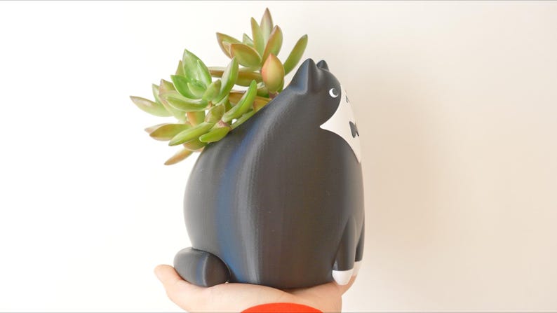 May include: A black and white cat-shaped planter holding a succulent plant. The ceramic planter has a round body, a white bib, and white paws. The succulent has green and reddish-brown leaves.